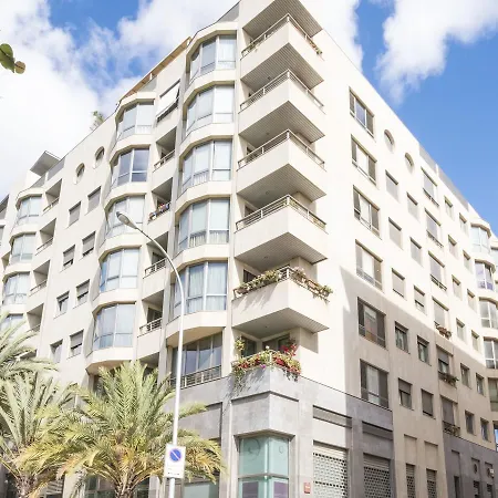 Estrelitzia * Santa Cruz de Tenerife